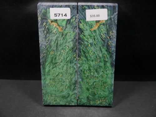 Stabilized Double Dyed Box Elder Scales SW5714