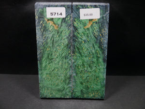 Stabilized Double Dyed Box Elder Scales SW5714