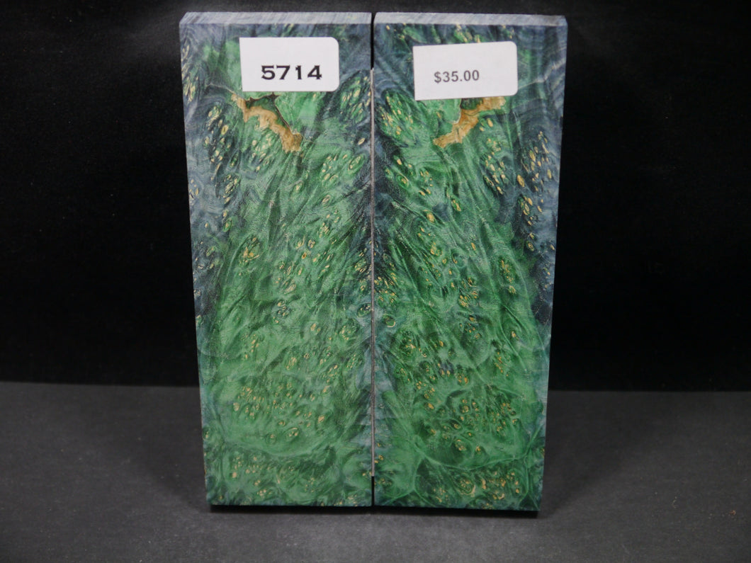 Stabilized Double Dyed Box Elder Scales SW5714