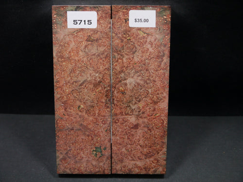 Stabilized Double Dyed Box Elder Scales SW5715