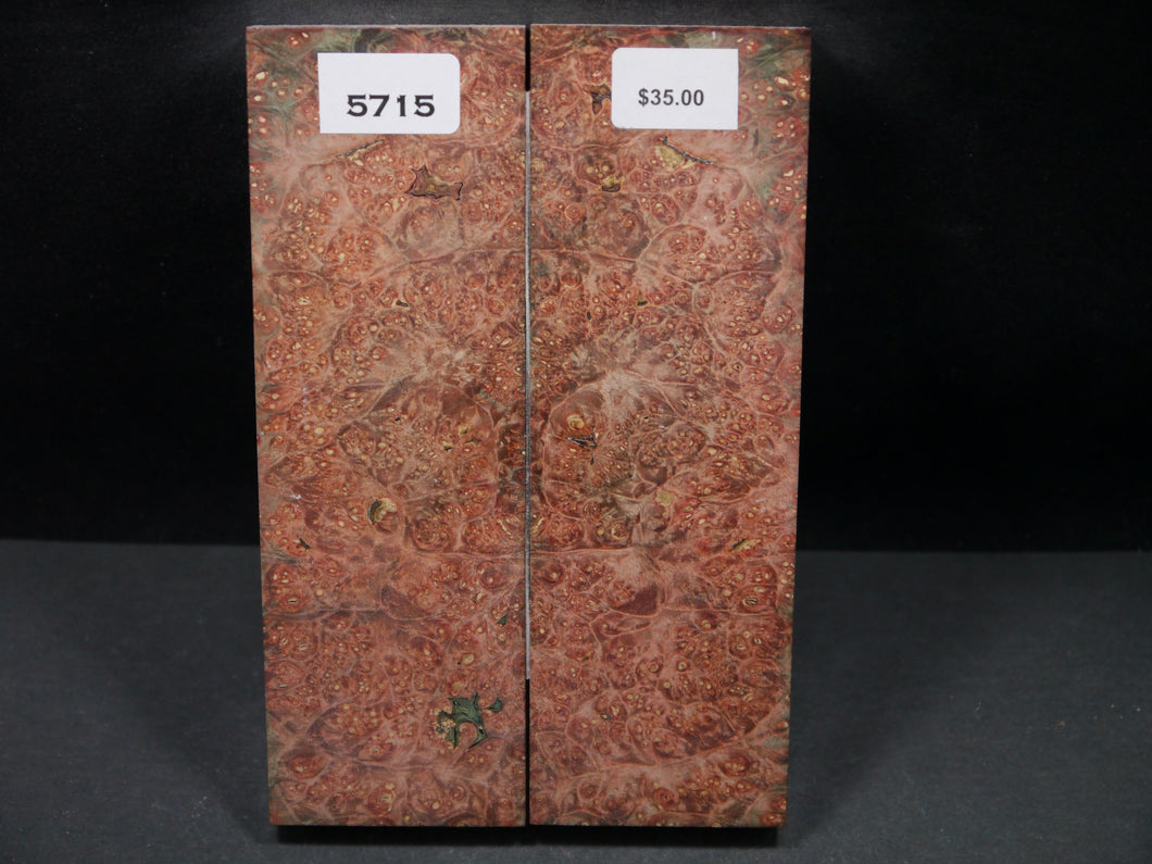 Stabilized Double Dyed Box Elder Scales SW5715