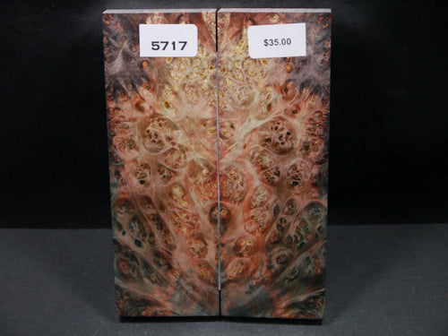 Stabilized Double Dyed Box Elder Scales SW5717
