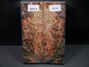Stabilized Double Dyed Box Elder Scales SW5717