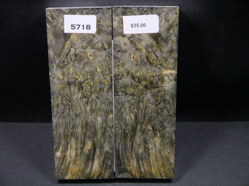 Stabilized Double Dyed Box Elder Scales SW5718