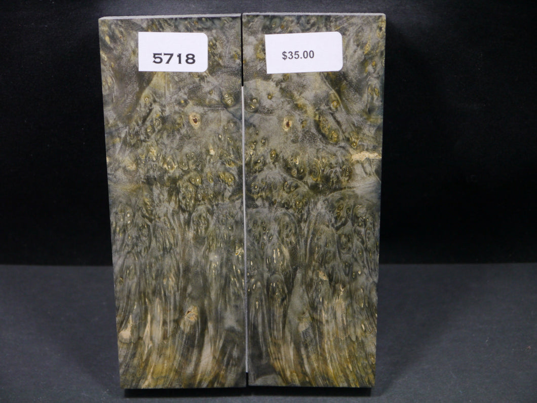 Stabilized Double Dyed Box Elder Scales SW5718