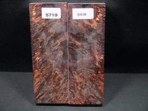 Stabilized Double Dyed Box Elder Scales SW5719