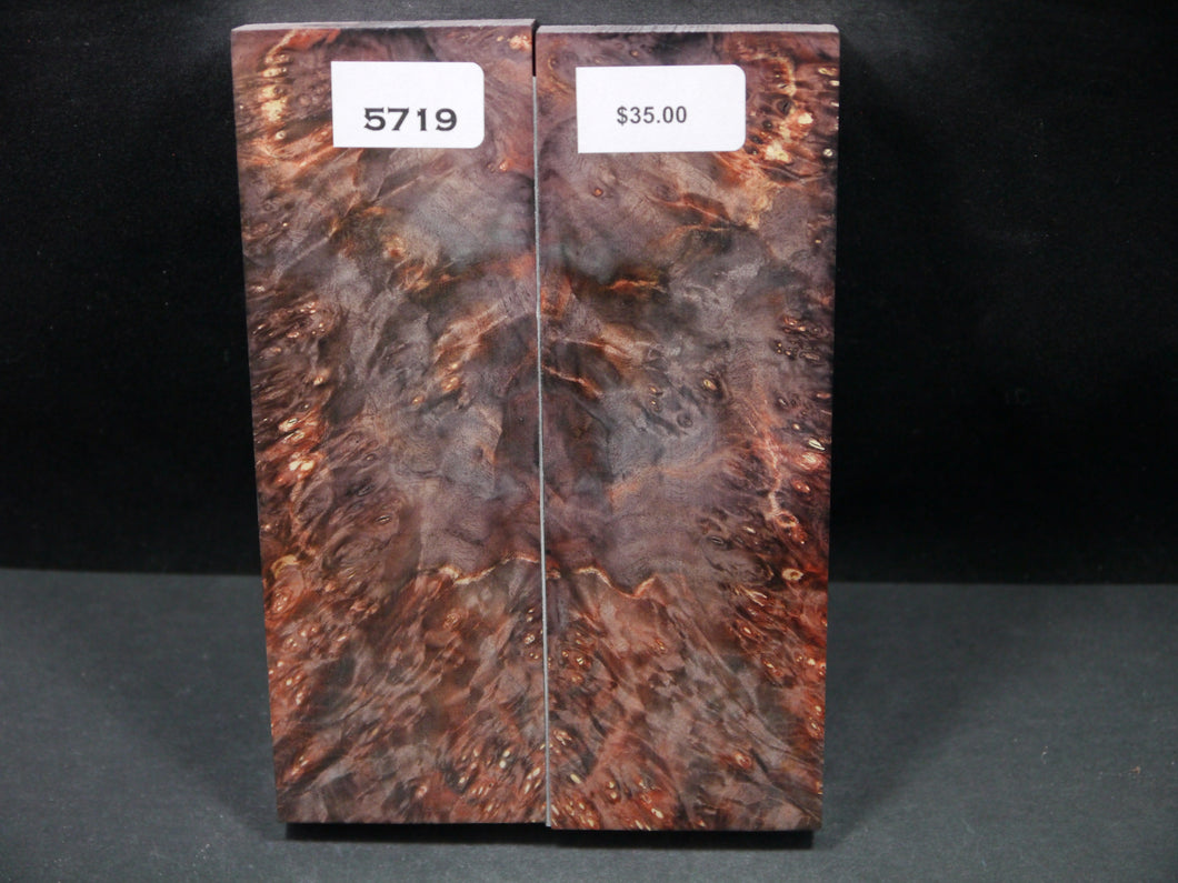 Stabilized Double Dyed Box Elder Scales SW5719