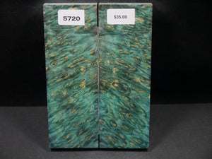 Stabilized Double Dyed Box Elder Scales SW5720