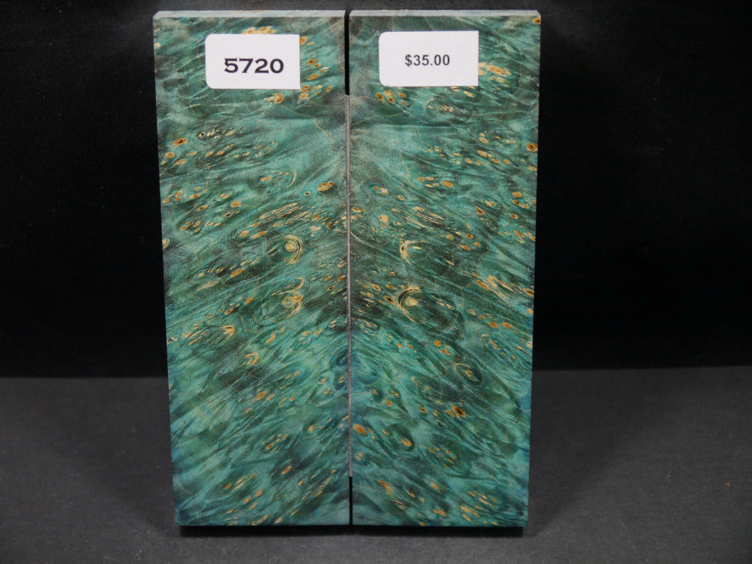 Stabilized Double Dyed Box Elder Scales SW5720