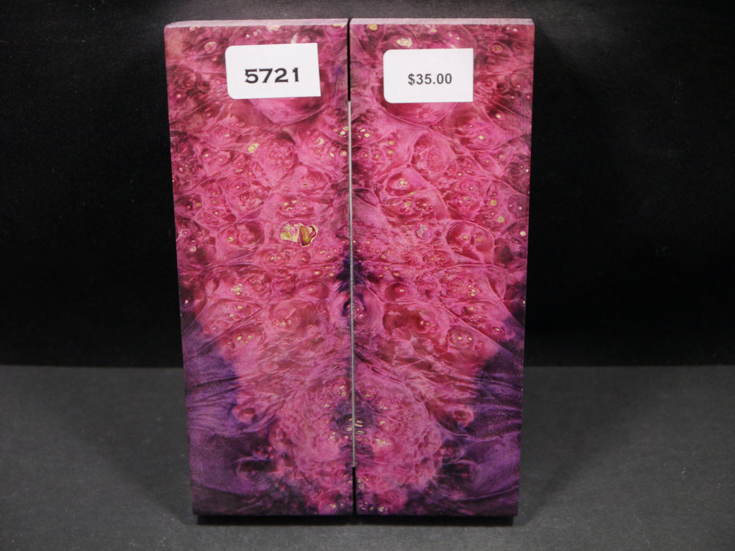 Stabilized Double Dyed Box Elder Scales SW5721