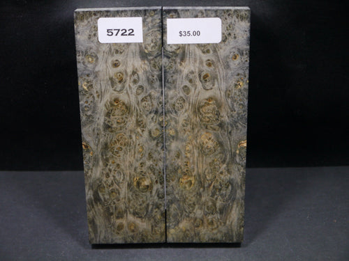 Stabilized Double Dyed Box Elder Scales SW5722