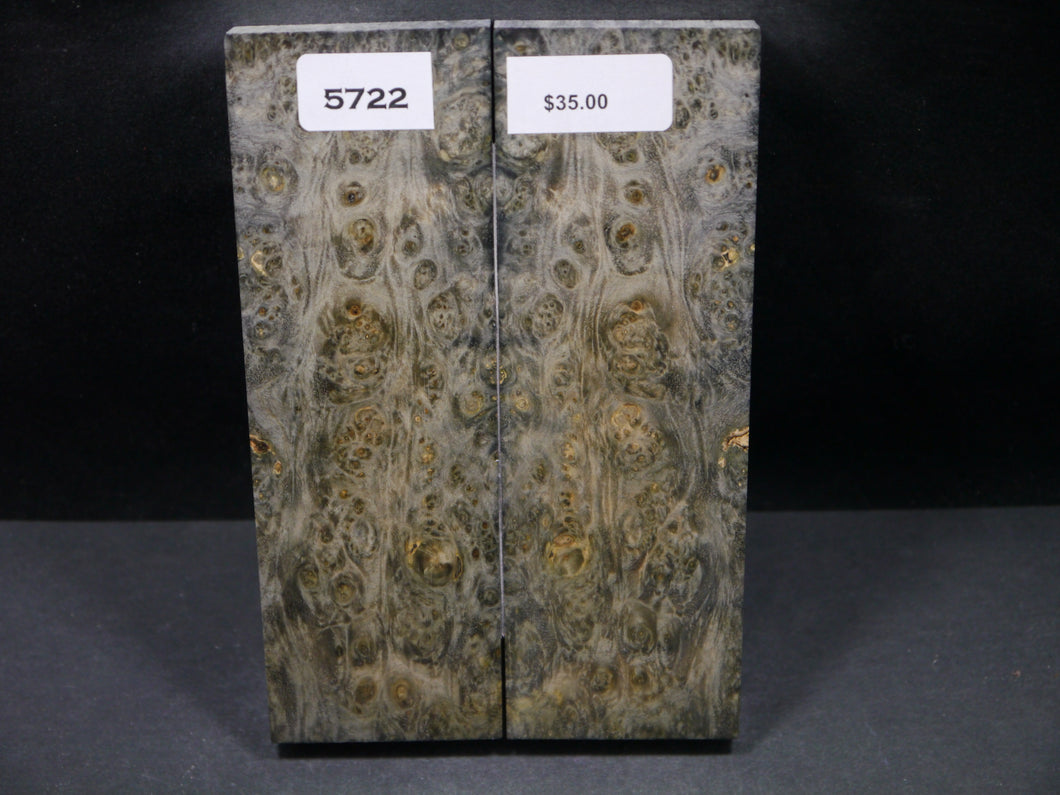 Stabilized Double Dyed Box Elder Scales SW5722