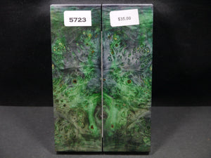 Stabilized Double Dyed Box Elder Scales SW5723
