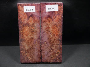 Stabilized Double Dyed Box Elder Scales SW5724