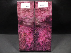 Stabilized Double Dyed Box Elder Scales SW5725