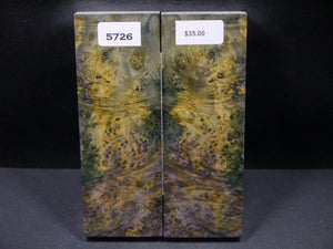 Stabilized Double Dyed Box Elder Scales SW5726