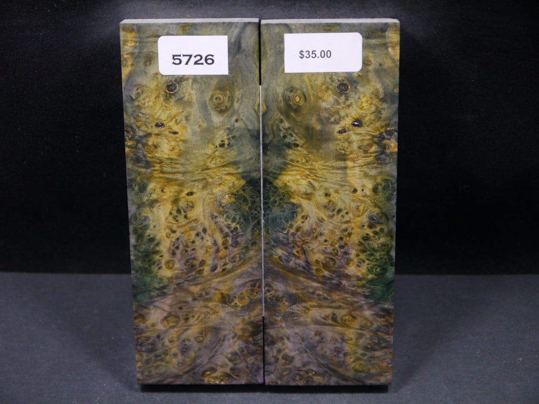Stabilized Double Dyed Box Elder Scales SW5726