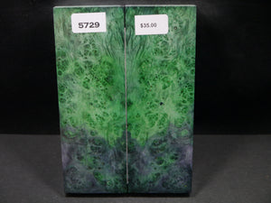 Stabilized Double Dyed Box Elder Scales SW5729