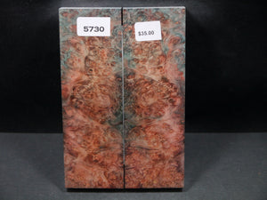 Stabilized Double Dyed Box Elder Scales SW5730