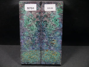 Stabilized Double Dyed Box Elder Scales SW5731