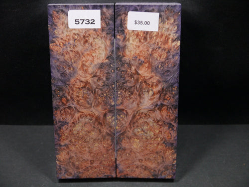 Stabilized Double Dyed Box Elder Scales SW5732