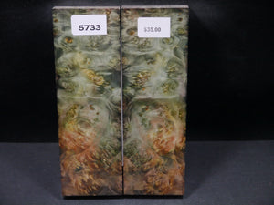 Stabilized Double Dyed Box Elder Scales SW5733