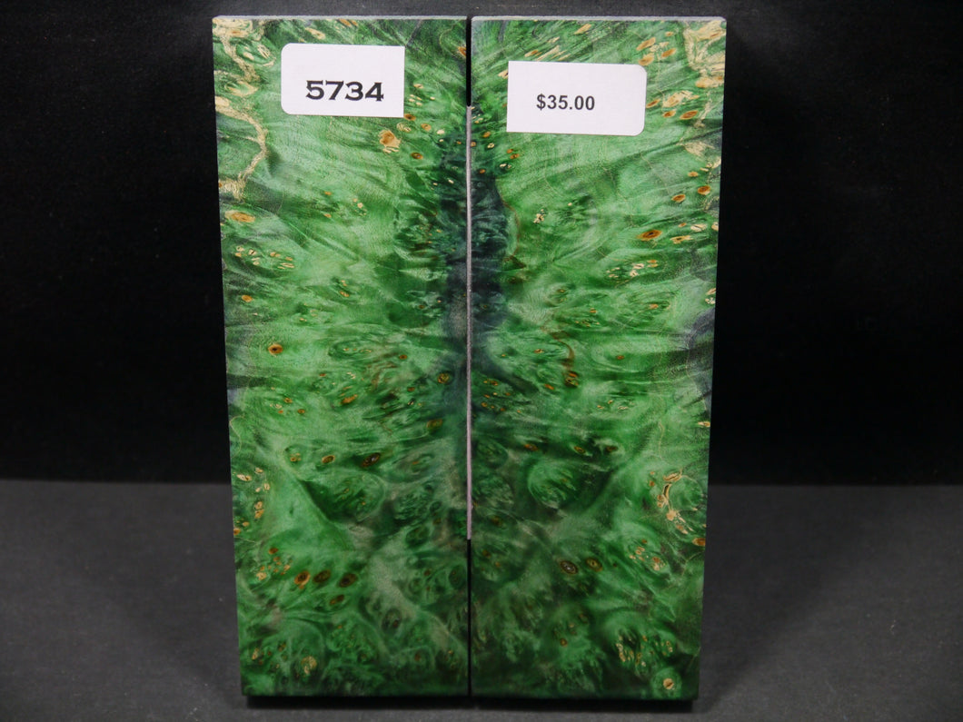 Stabilized Double Dyed Box Elder Scales SW5734