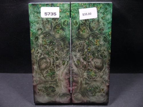 Stabilized Double Dyed Box Elder Scales SW5735