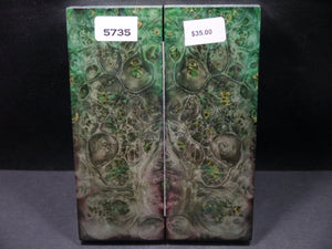 Stabilized Double Dyed Box Elder Scales SW5735