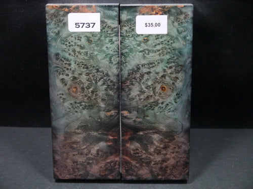 Stabilized Double Dyed Box Elder Scales SW5737