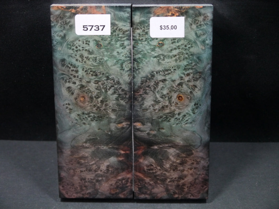 Stabilized Double Dyed Box Elder Scales SW5737