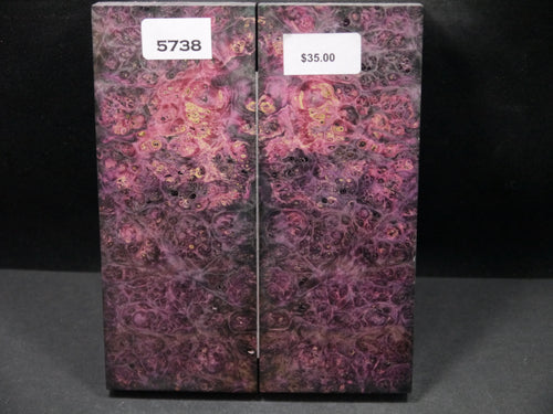 Stabilized Double Dyed Box Elder Scales SW5738