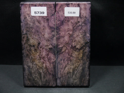 Stabilized Double Dyed Box Elder Scales SW5739