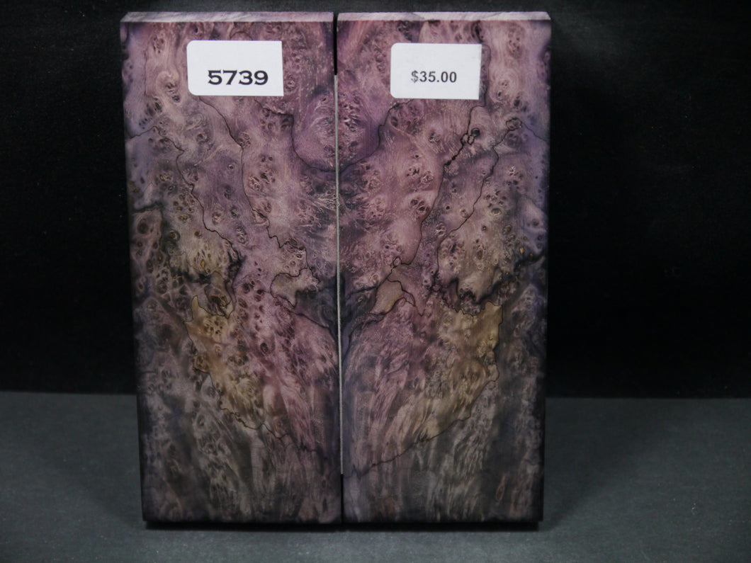 Stabilized Double Dyed Box Elder Scales SW5739