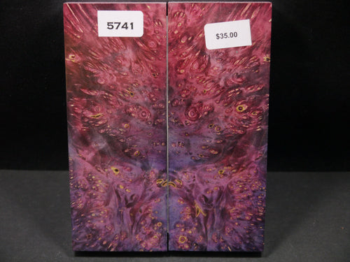 Stabilized Double Dyed Box Elder Scales SW5741