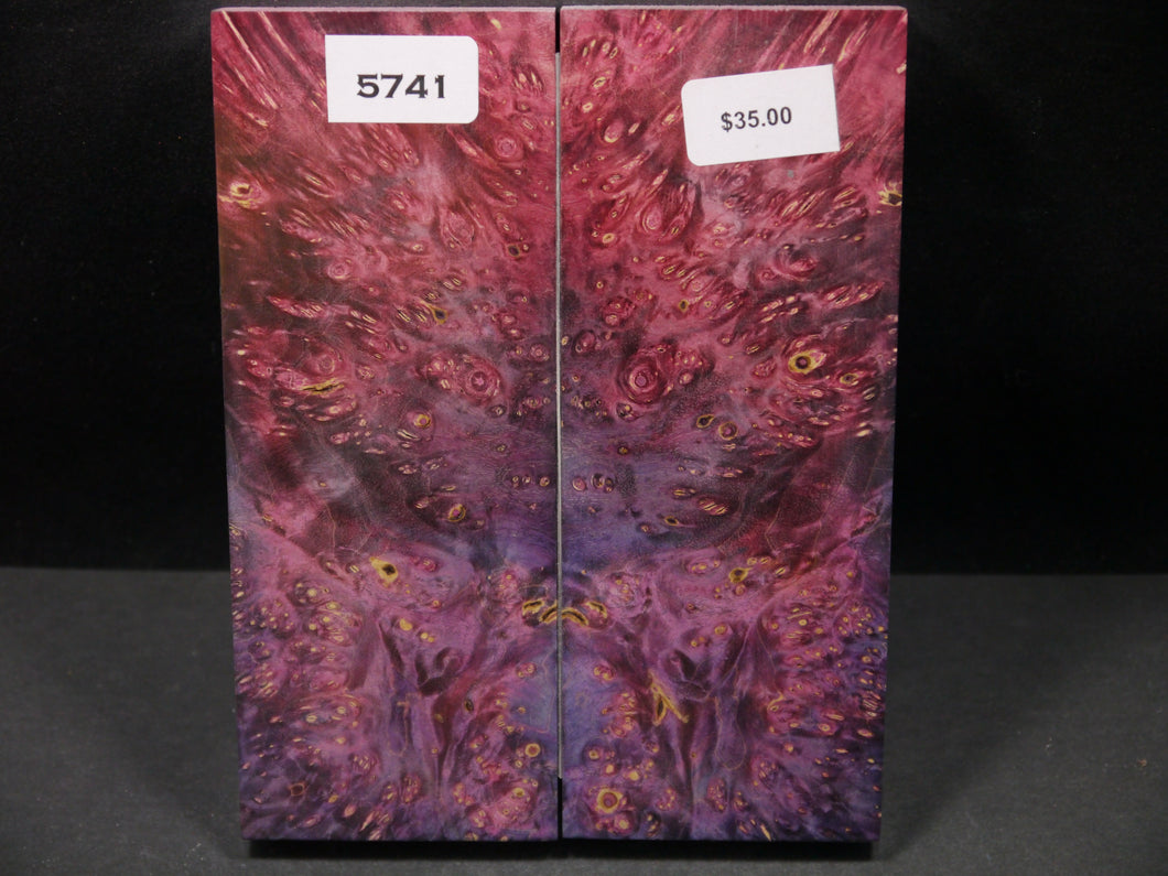Stabilized Double Dyed Box Elder Scales SW5741