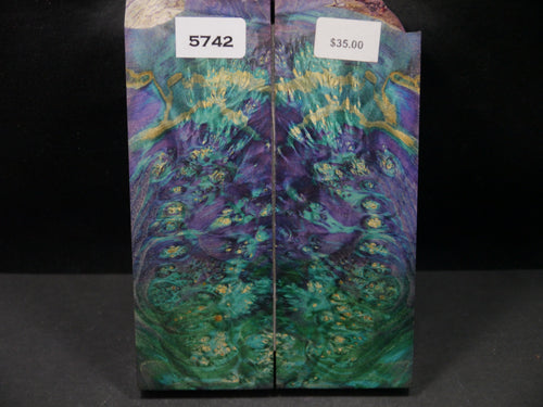 Stabilized Double Dyed Box Elder Scales SW5742