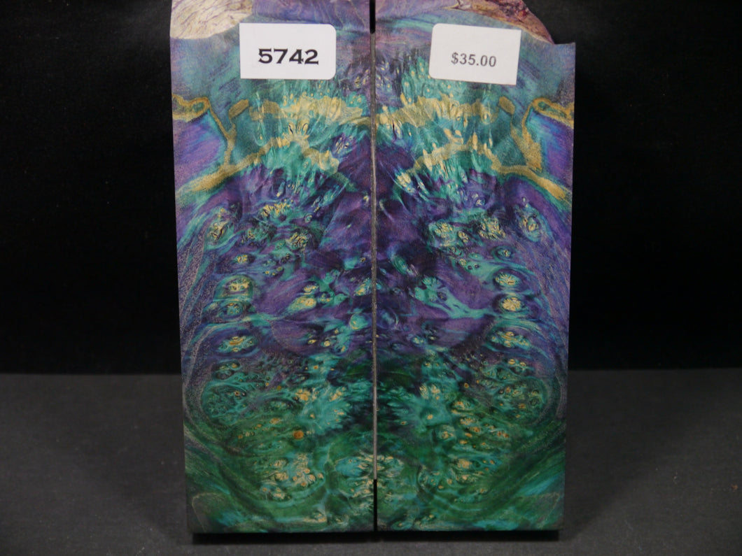 Stabilized Double Dyed Box Elder Scales SW5742