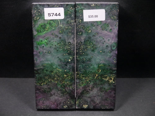 Stabilized Double Dyed Box Elder Scales SW5744