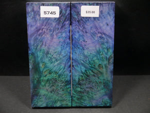 Stabilized Double Dyed Box Elder Scales SW5745