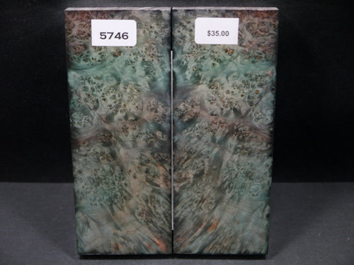 Stabilized Double Dyed Box Elder Scales SW5746