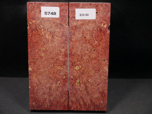 Stabilized Double Dyed Box Elder Scales SW5748