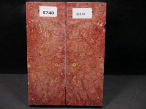 Stabilized Double Dyed Box Elder Scales SW5748
