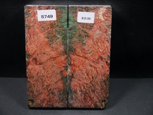 Stabilized Double Dyed Box Elder Scales SW5749