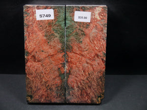 Stabilized Double Dyed Box Elder Scales SW5749