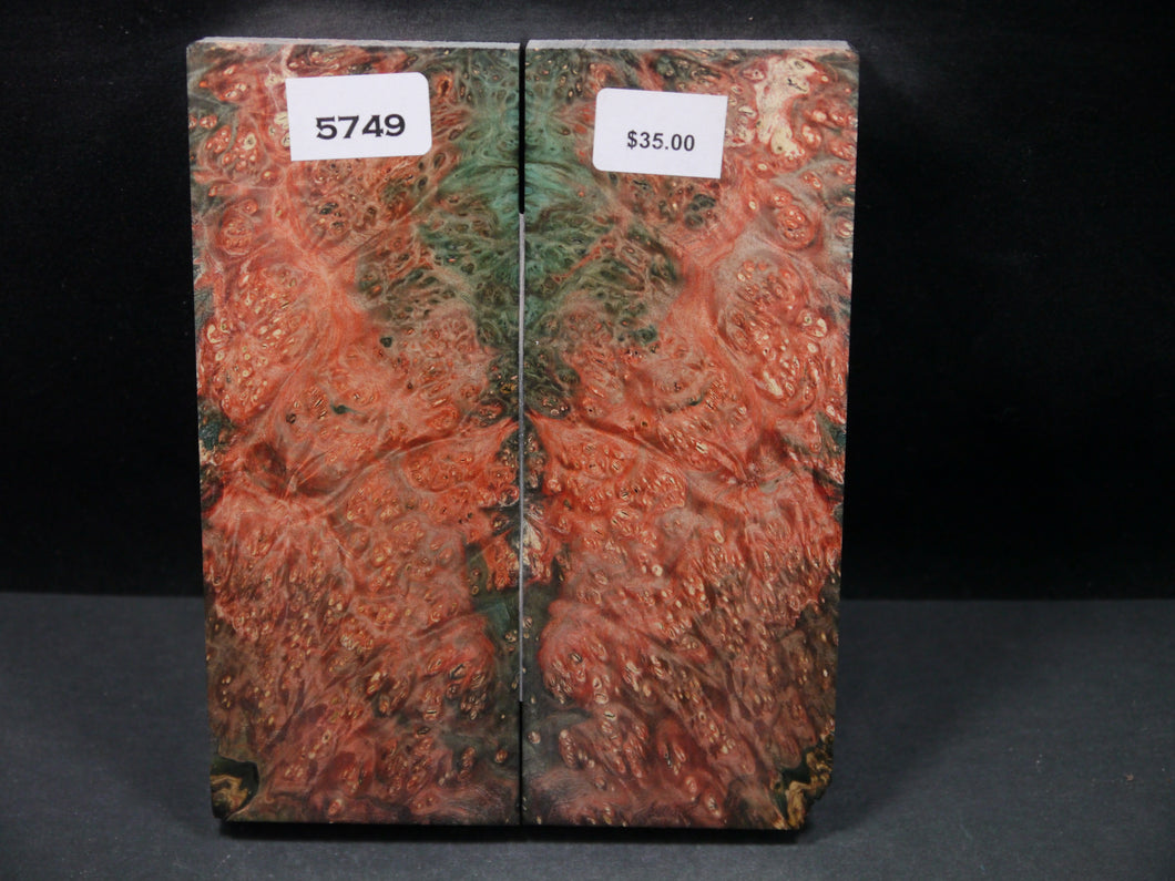 Stabilized Double Dyed Box Elder Scales SW5749