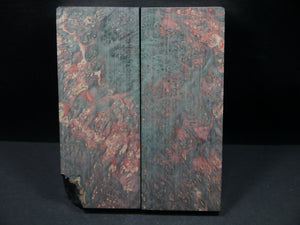 Stabilized Double Dyed Box Elder Scales SW5749