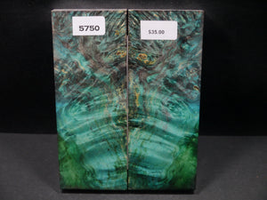 Stabilized Double Dyed Box Elder Scales SW5750