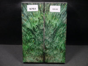 Stabilized Double Dyed Box Elder Scales SW5751