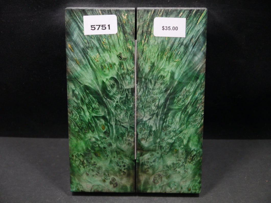 Stabilized Double Dyed Box Elder Scales SW5751